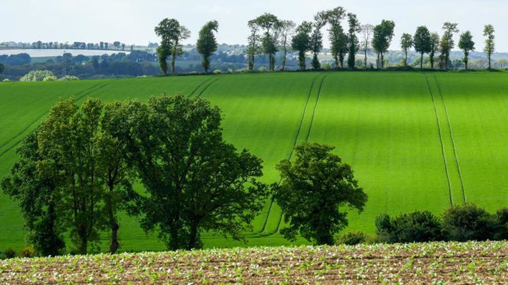 © Philippe  Montigny